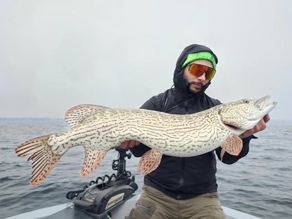 Fishing from a motorboat with a certified instructor on Lake Garda 9